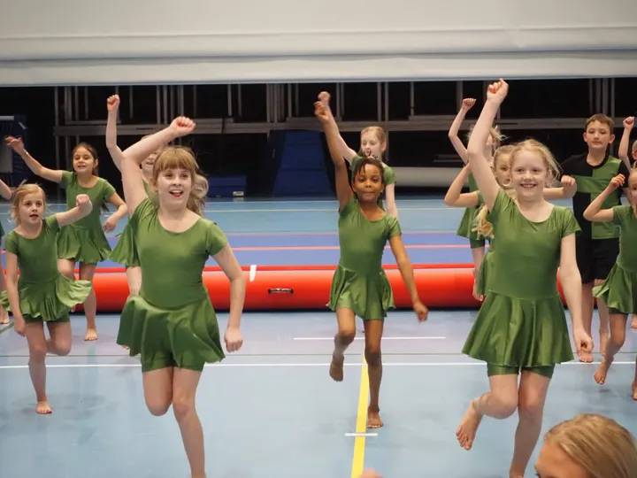 Vejle Gymnastik-Forening — gymnastics-studio i Bredballe, Vejle