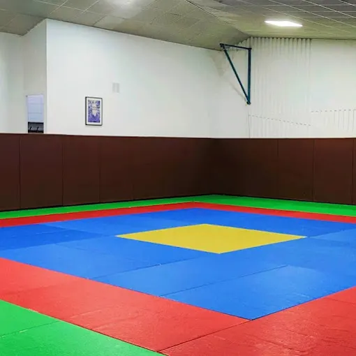 Bernard Palmier Shihan / Dojo ACT — arts martiaux-studio à Paris 19e Arrondissement, Paris — 2