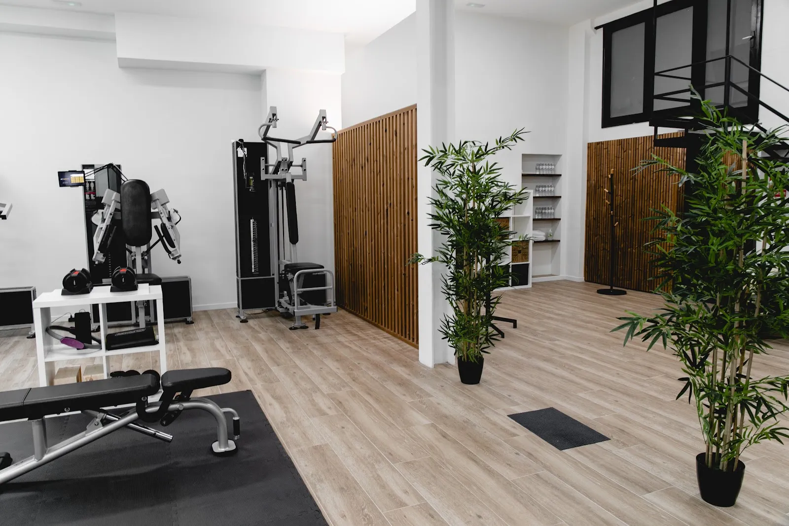 GiroHIST - Exercici Clínic — entrenamiento personal-studio en Eixample, Girona — 2