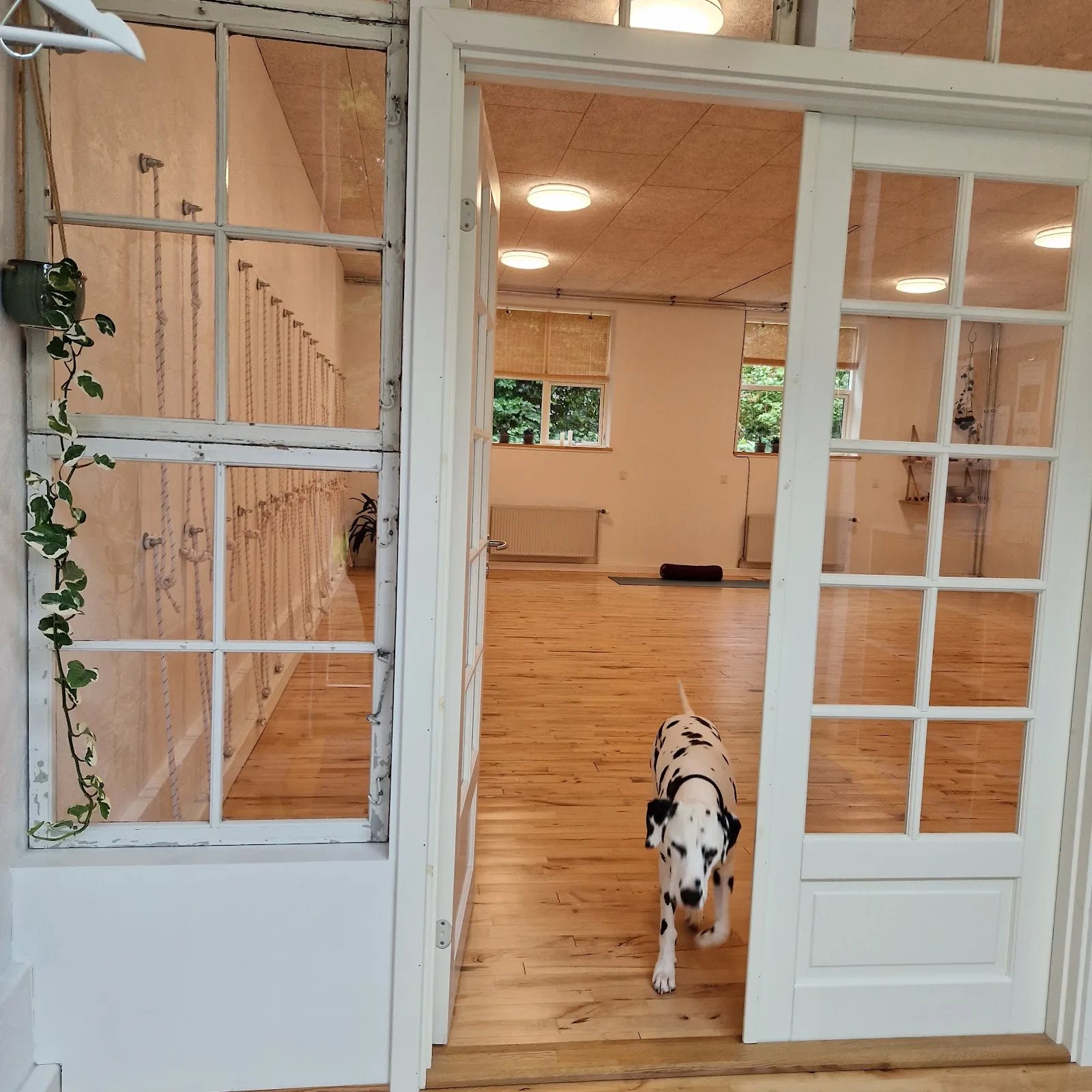 Rauff Yoga — yoga-studio i Stoholm Jyll — 4