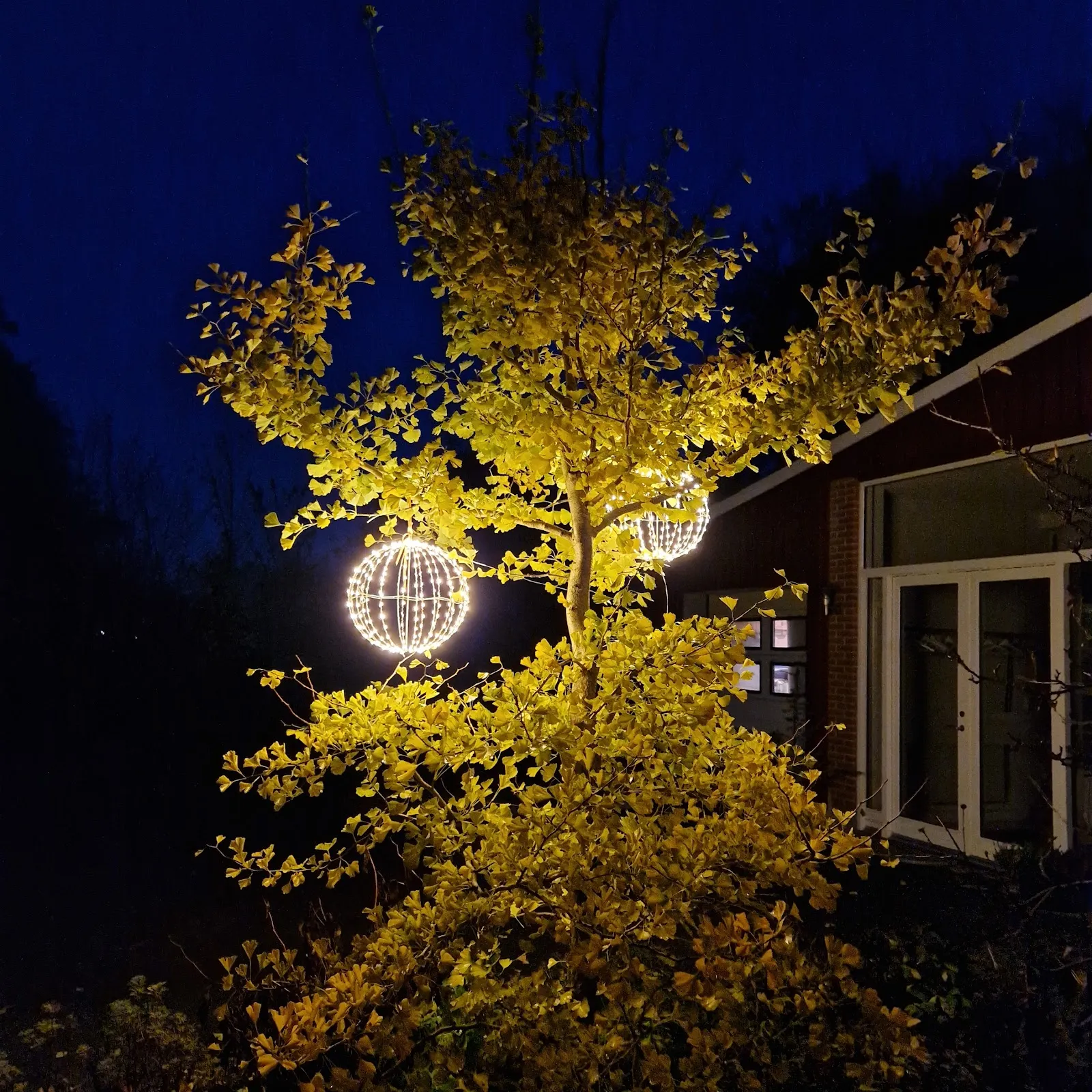 Rauff Yoga — yoga-studio i Stoholm Jyll — 5