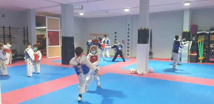 Club Deportivo Ho Sin Sul (I) — Artes marciales en Distrito de Levante, Córdoba