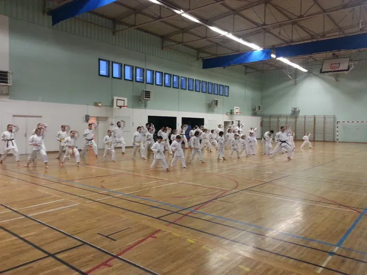 Arts Martiaux de l'Est Gymnase du collège — Arts martiaux à Saint-Amarin