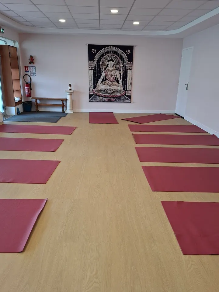 Association Picarde de Hatha Yoga (APHY) — Yoga à Amiens