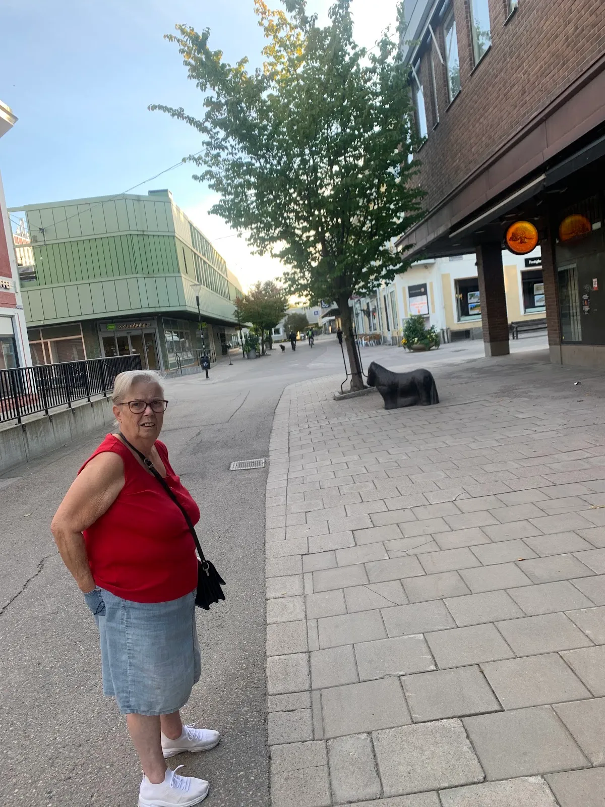 Active Sports Club Bollnäs City — träningsstudio-studio i Bollnäs — bild 5