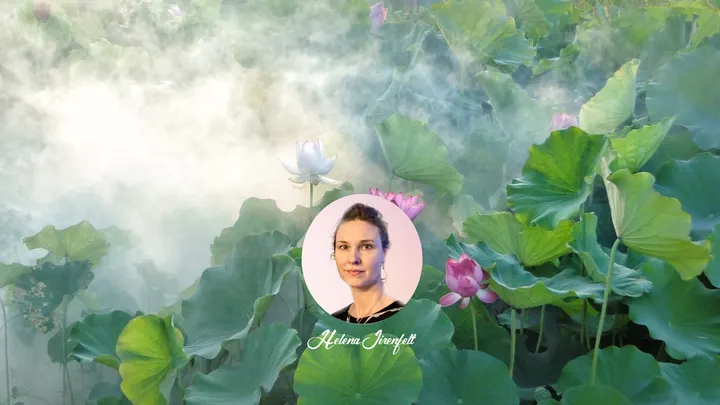 Göteborgs Reiki — wellness-studio i Stigberget, Göteborg