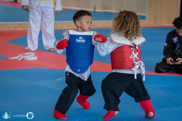 Pencak Silat Merpati Putih Nederland — vechtsport-studio in Den Haag — 3
