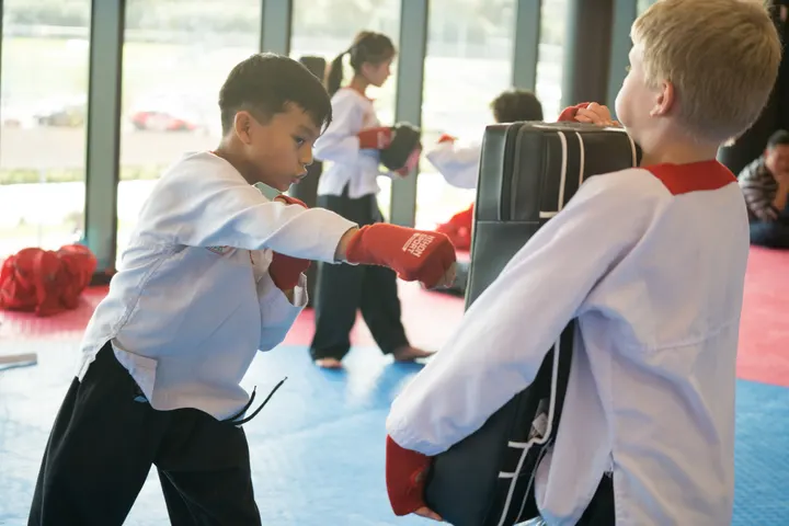 Pencak Silat Merpati Putih Nederland — Vechtsport in Escamp, Den Haag