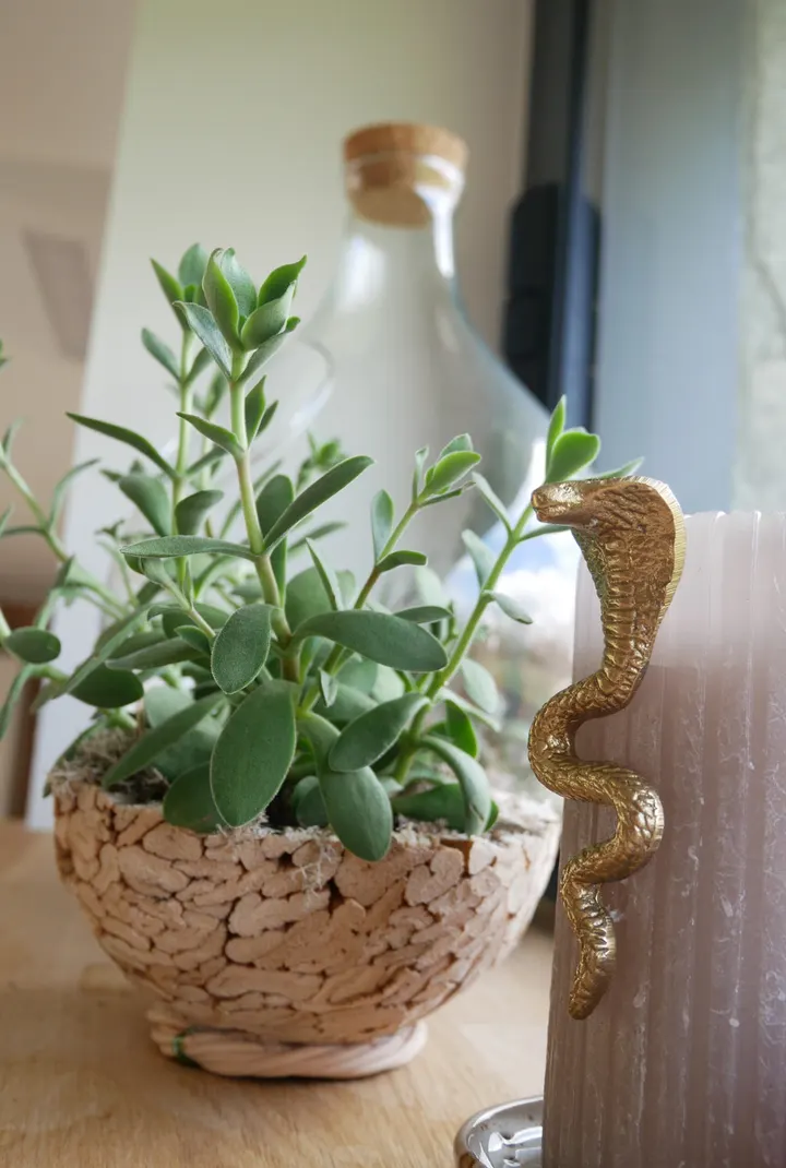 Evolve Yoga — yoga-studio à Bégard — 5