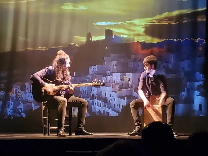 Teatro Flamenco Madrid — baile-studio en Universidad, Madrid — 3