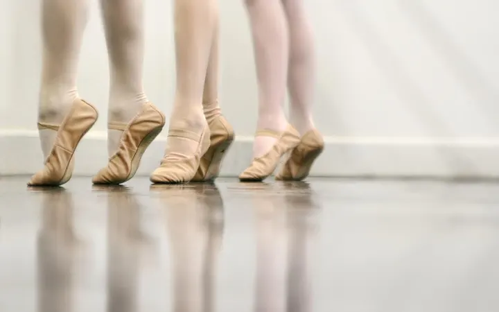 Joanna Mardon School of Dance - Clyst Heath School — dance-studio in Exeter — 3