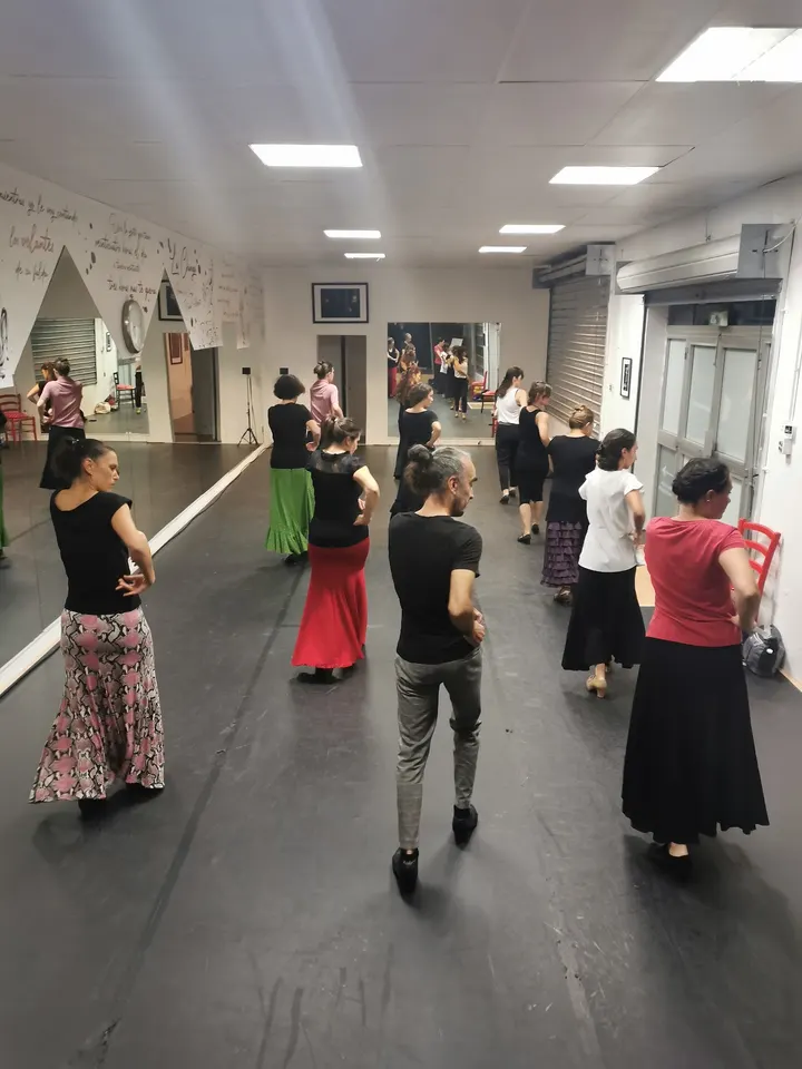 La Galerie Flamenca — danse-studio à Gratte-Ciel, Villeurbanne — 2