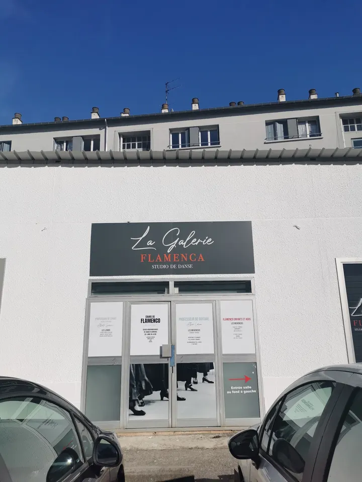 La Galerie Flamenca — danse-studio à Gratte-Ciel, Villeurbanne — 3