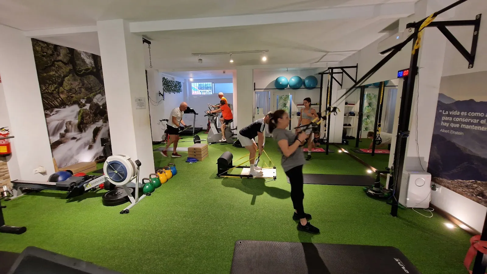 ESAN (Entrenamiento Saludable Alberto Núñez) — entrenamiento personal-studio en Marbella — 4