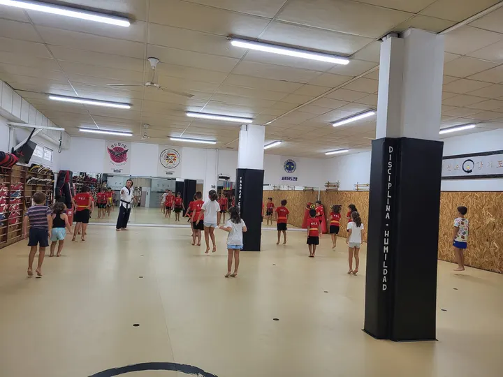 Gimnàs Cos Olímpic — Boxing en les Arenes, la Grípia i Can Montllor, Terrassa