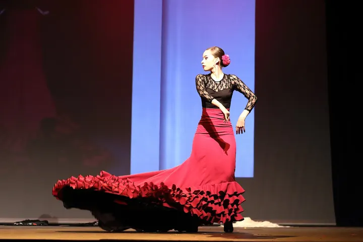 Danzarte, Estudio Sandra Pinilla — baile-studio en Burgos — 3