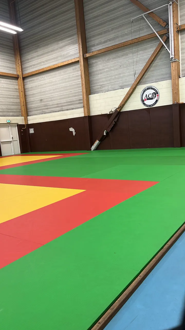 ACB - jiu jitsu bresilien — jjb-studio à Paris — 4