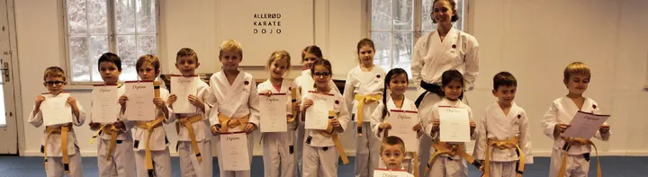 Allerød Karate Dojo — martial arts-studio i Lynge Overdrev, Lillerød