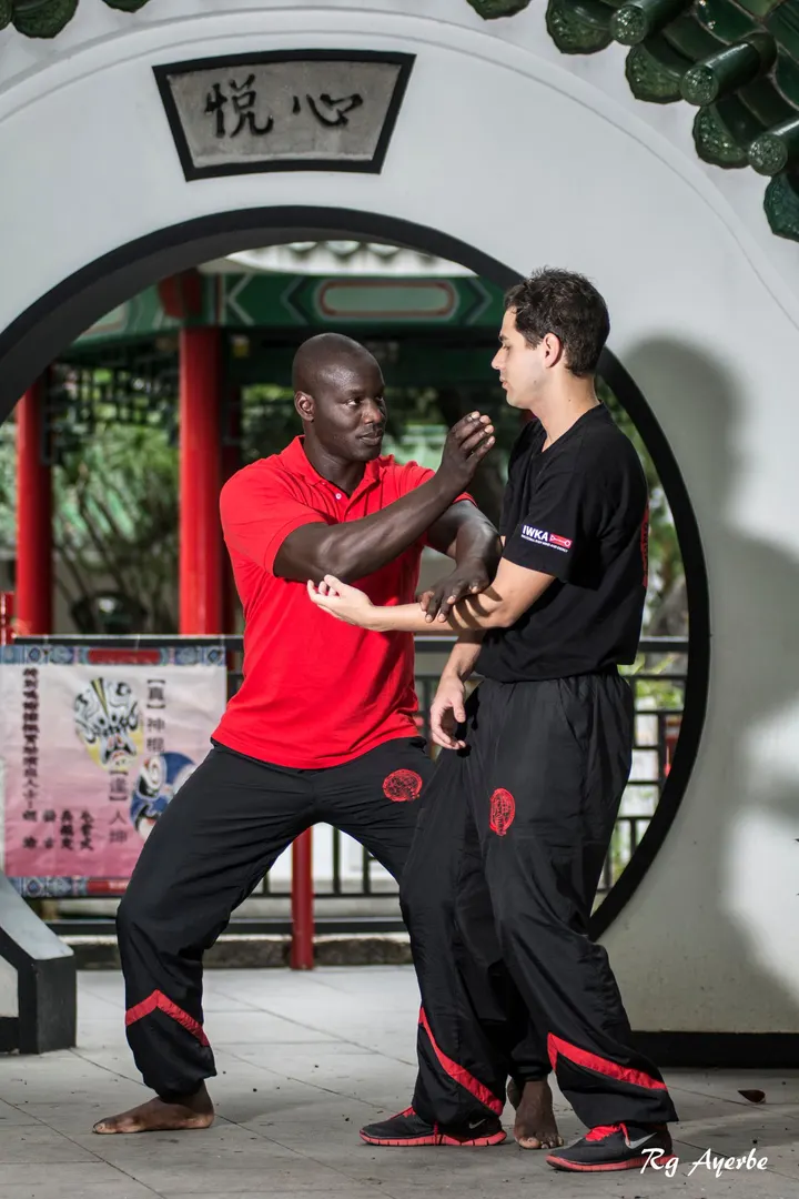 CMAH Kung Fu Lansingerland — vechtsport-studio in Berkel en Rodenrijs — 2