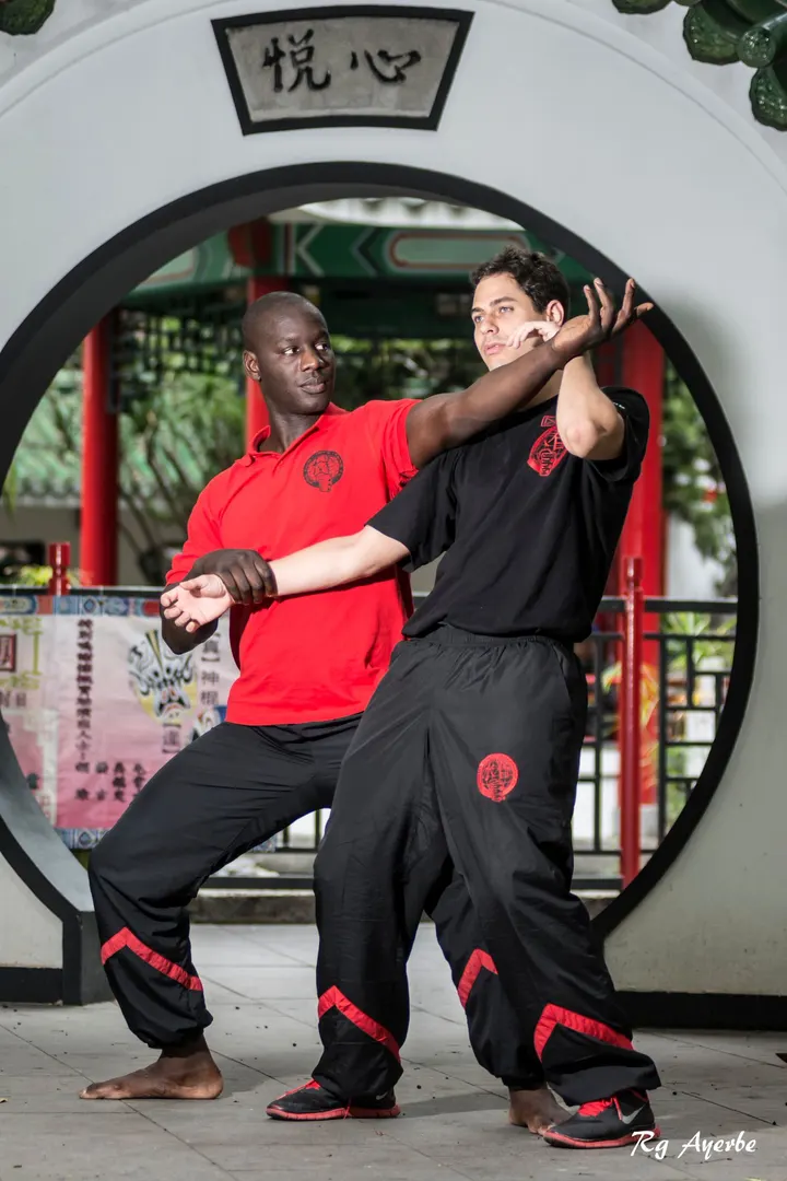 CMAH Kung Fu Lansingerland — vechtsport-studio in Berkel en Rodenrijs — 3