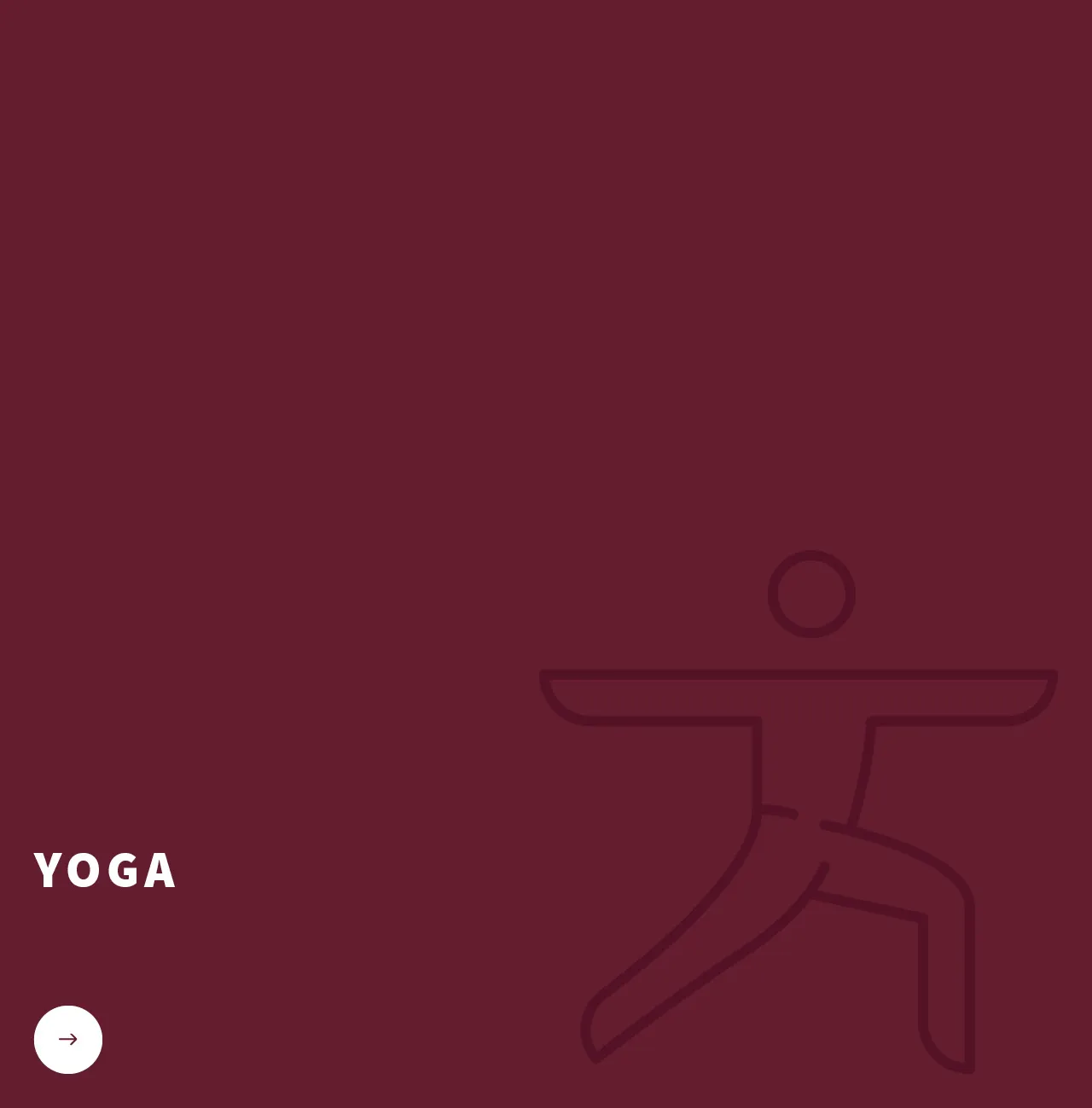 Yoga Vidya Bayreuth — yoga-studio i Bayreuth — 2