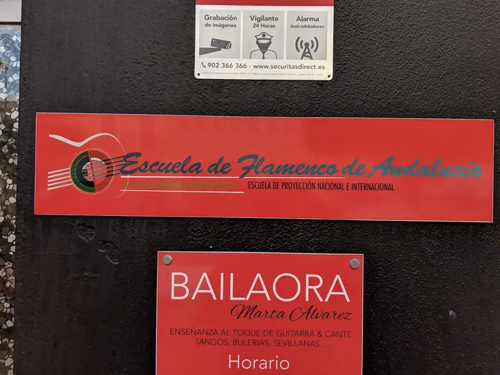 Escuela Flamenco Marta Álvarez, Escuela Famenco de Andalucía — baile-studio en Salto del Agua, Marbella — 2