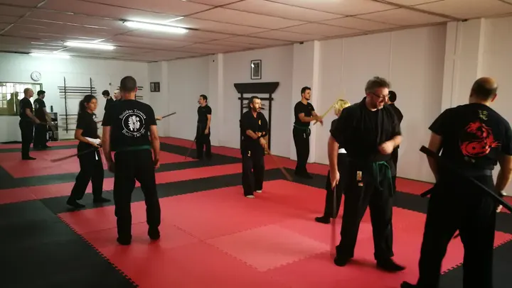 Bujinkan Terrassa — Artes marciales en Sant Pere, Terrassa