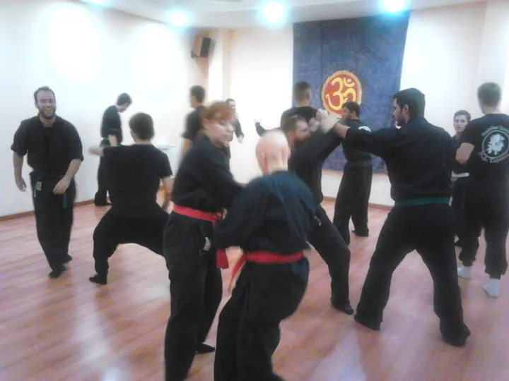 Bujinkan Terrassa — artes marciales-studio en Sant Pere, Terrassa — 2
