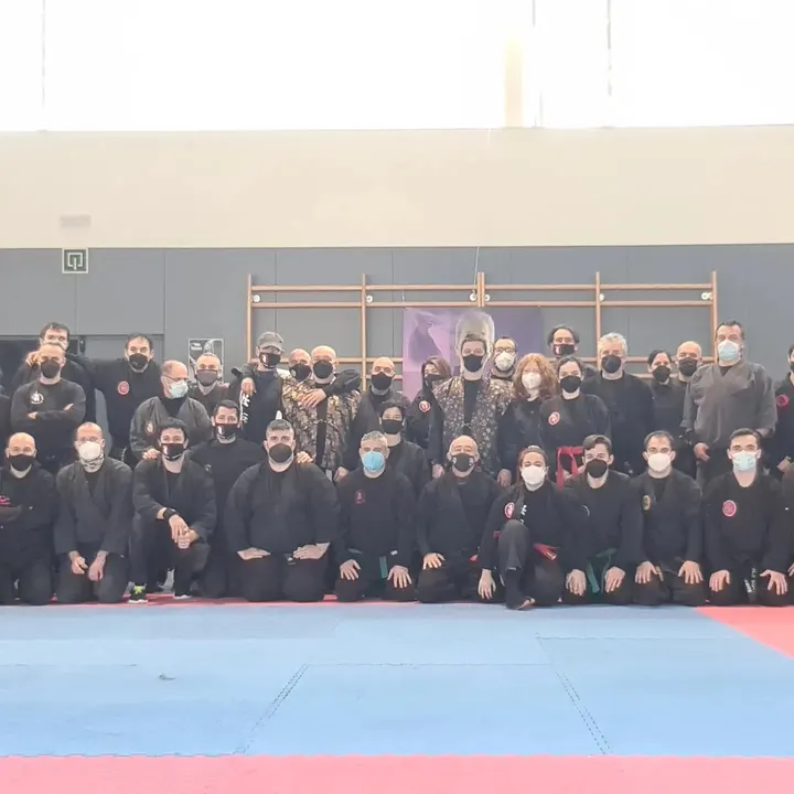 Bujinkan Terrassa — artes marciales-studio en Sant Pere, Terrassa — 3