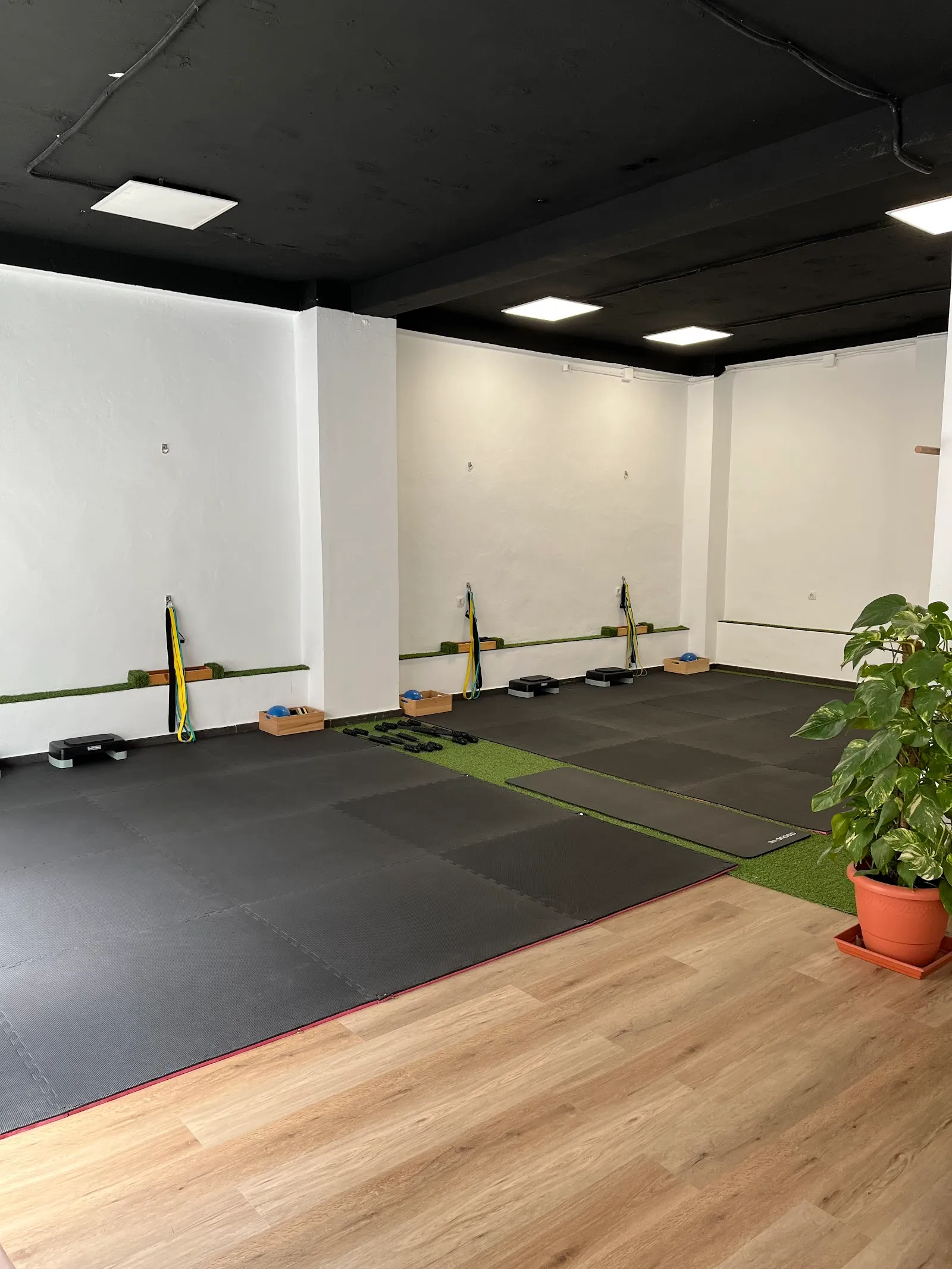 Fortaleza - Readaptación Física & Pilates — pilates-studio en Alacant — 2