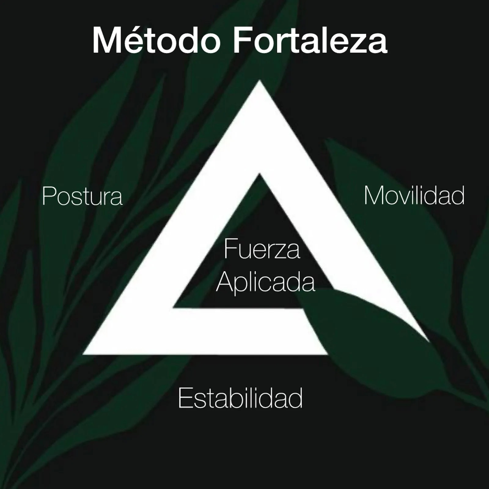 Fortaleza - Readaptación Física & Pilates — pilates-studio en Alacant — 4