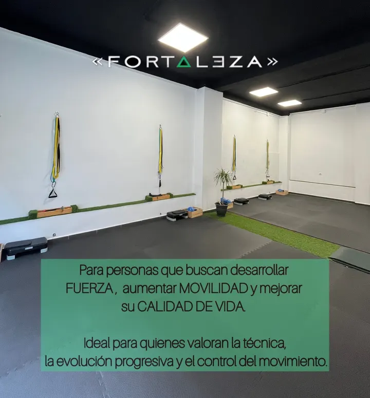 Fortaleza - Readaptación Física & Pilates — Pilates en Alacant