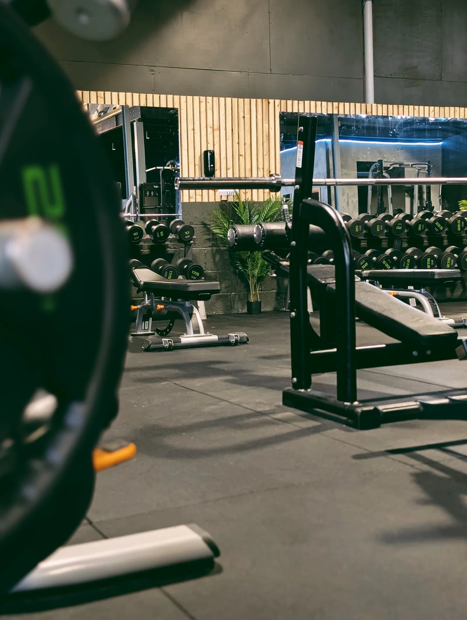 DOMS Fitness — fitness studio in Swindon — 3