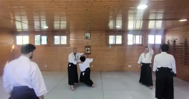 Aikido Musubi Murcia Club De Aikido — Artes marciales en San Nicolás, Murcia
