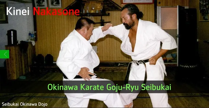 Sakura Take Kan - Artes Marciales — artes marciales-studio en Salamanca — 5