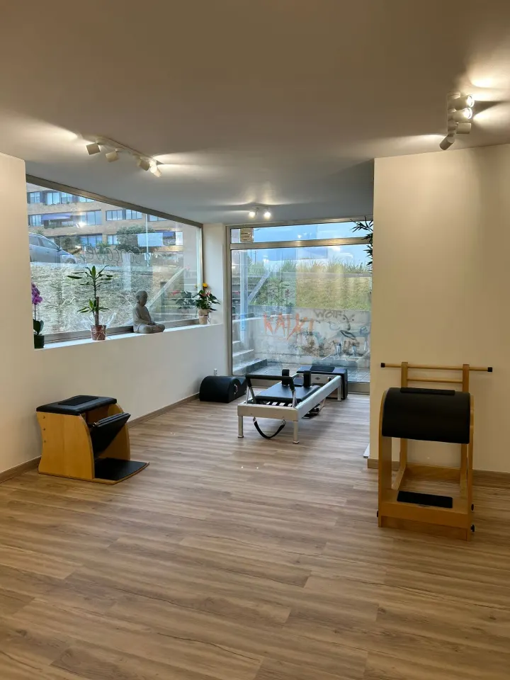Érica Gonçalves - Studio Pilates — pilates-studio em Porto — 2