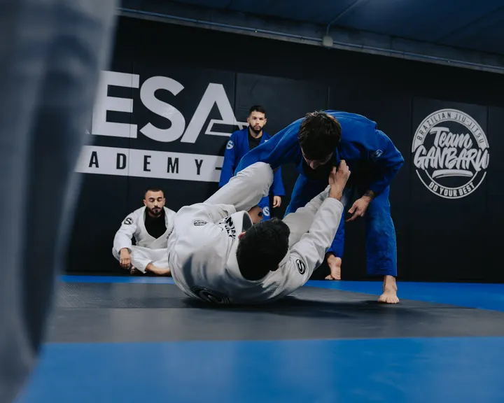 PRESA ACADEMY BJJ — artes marciales-studio en La Laguna — 4