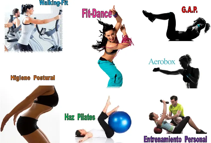 Gimnasio Sport Muscle — estudio de fitness-studio en Murcia — 4