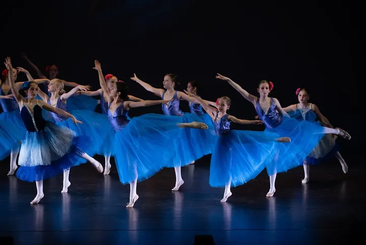 Dansstudio AMBITION — dans-studio in 's-Hertogenbosch — 3