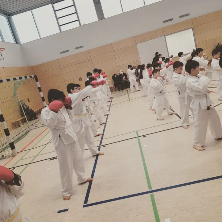 Kampfsportakademie S&A — kampfsport-studio in Dresden — 4