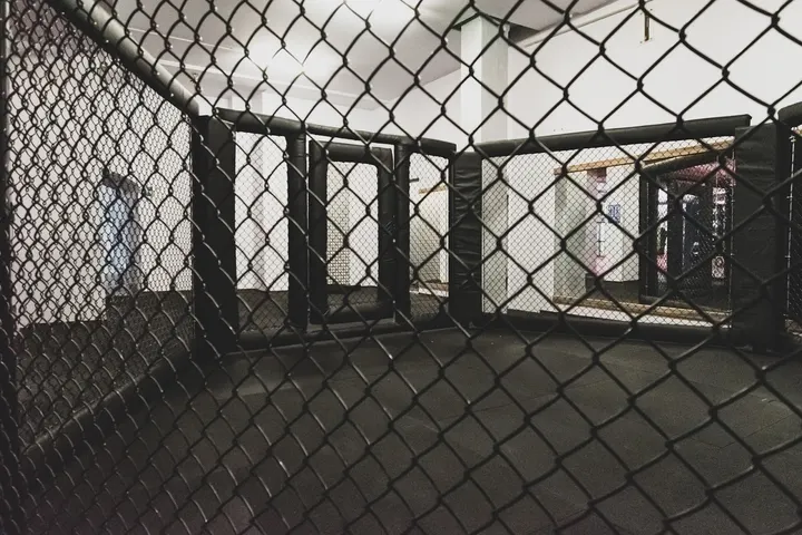 Thai Boxe Torino — arti marziali-studio a Torino — 4