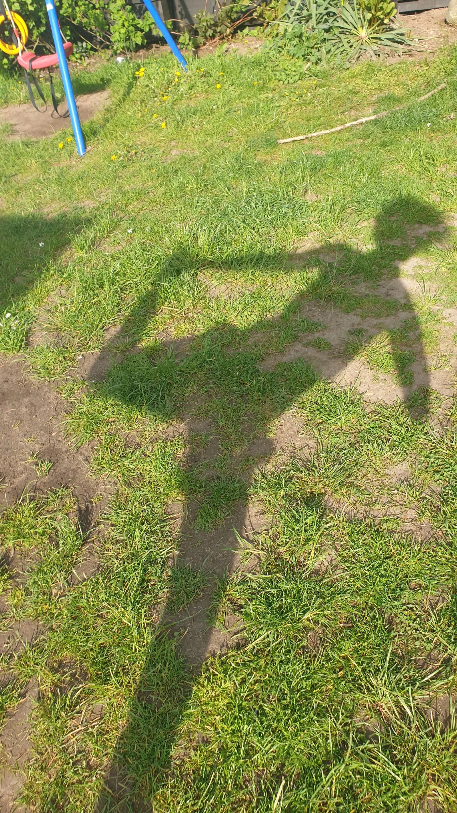 Soul.Nature — yoga-studio in Buckow, Berlin — 3