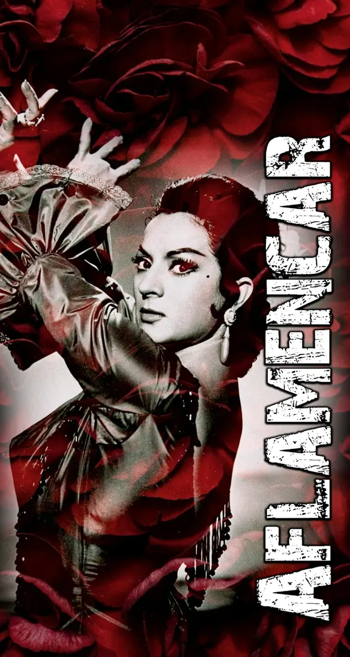 Aflamencar — baile-studio en Córdoba — 3