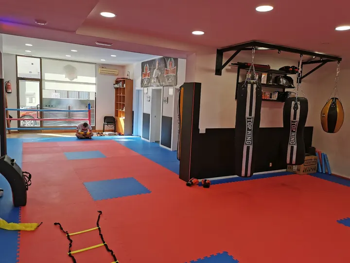 Kickboxing Gannicus Fight Club — kickboxing-studio en Villapatro, Lardero — 2