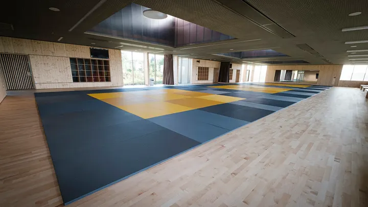 Behring Jiu-Jitsu Alsace — jjb-studio à Wintzenheim — 2
