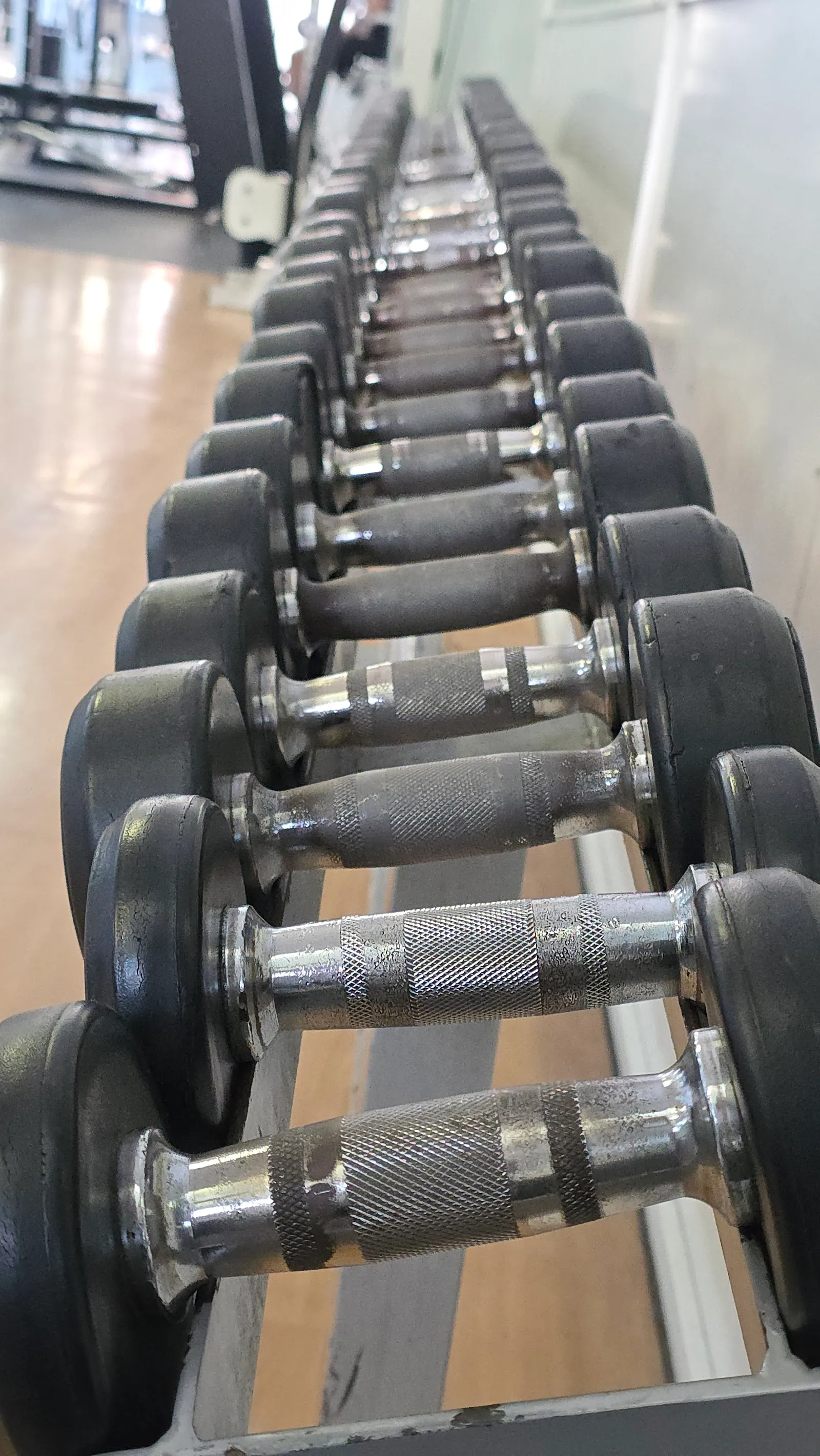 Gimnasio Raicar — fuerza-studio en Elda — 3