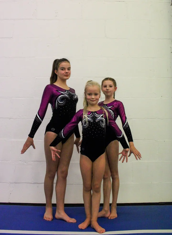 Gymnastiekvereniging Leidsche Rijn — Sportschool in Vleuten - De Meern, Utrecht