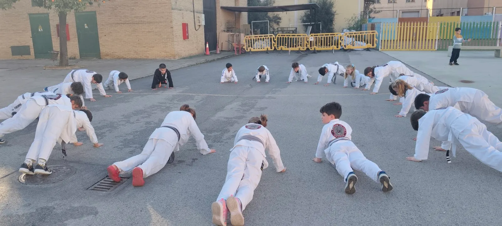 BITE ACADEMY — bjj-studio en Montequinto — 2