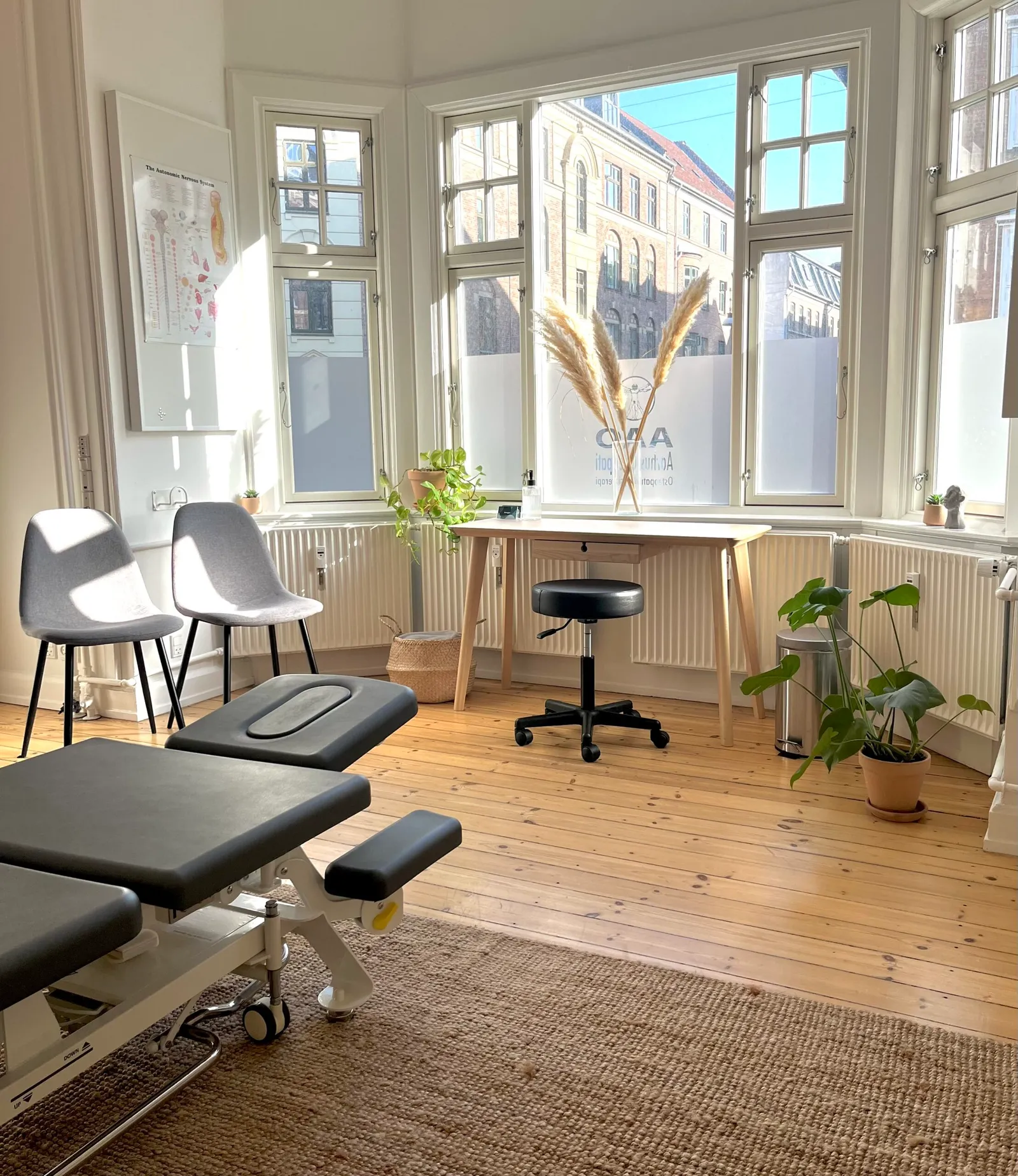 Aarhus Osteopati | København - Østerbro — wellness-studio i Nørrebro, København — bild 3