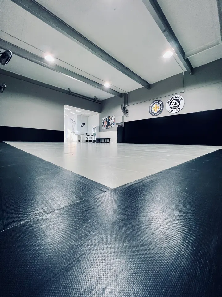 International Martial Arts Academy — Artes marciales en San Roque, Sevilla